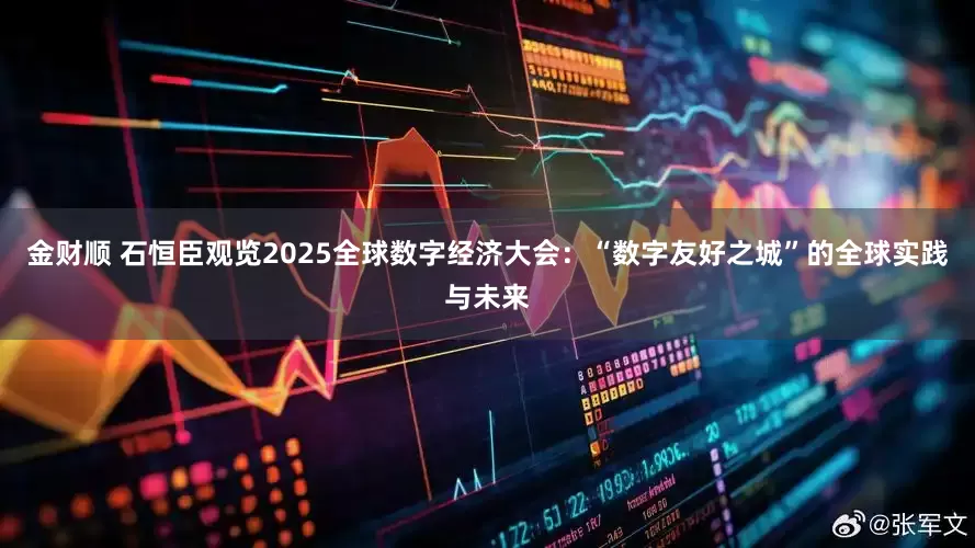 金财顺 石恒臣观览2025全球数字经济大会：“数字友好之城”的全球实践与未来