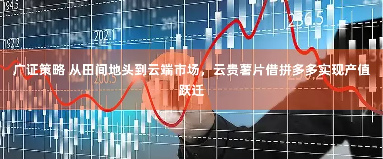 广证策略 从田间地头到云端市场，云贵薯片借拼多多实现产值跃迁