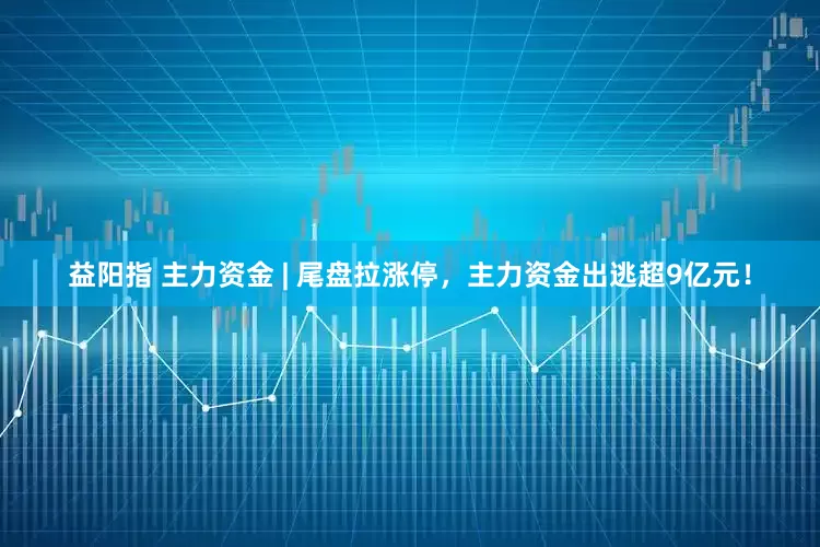 益阳指 主力资金 | 尾盘拉涨停，主力资金出逃超9亿元！